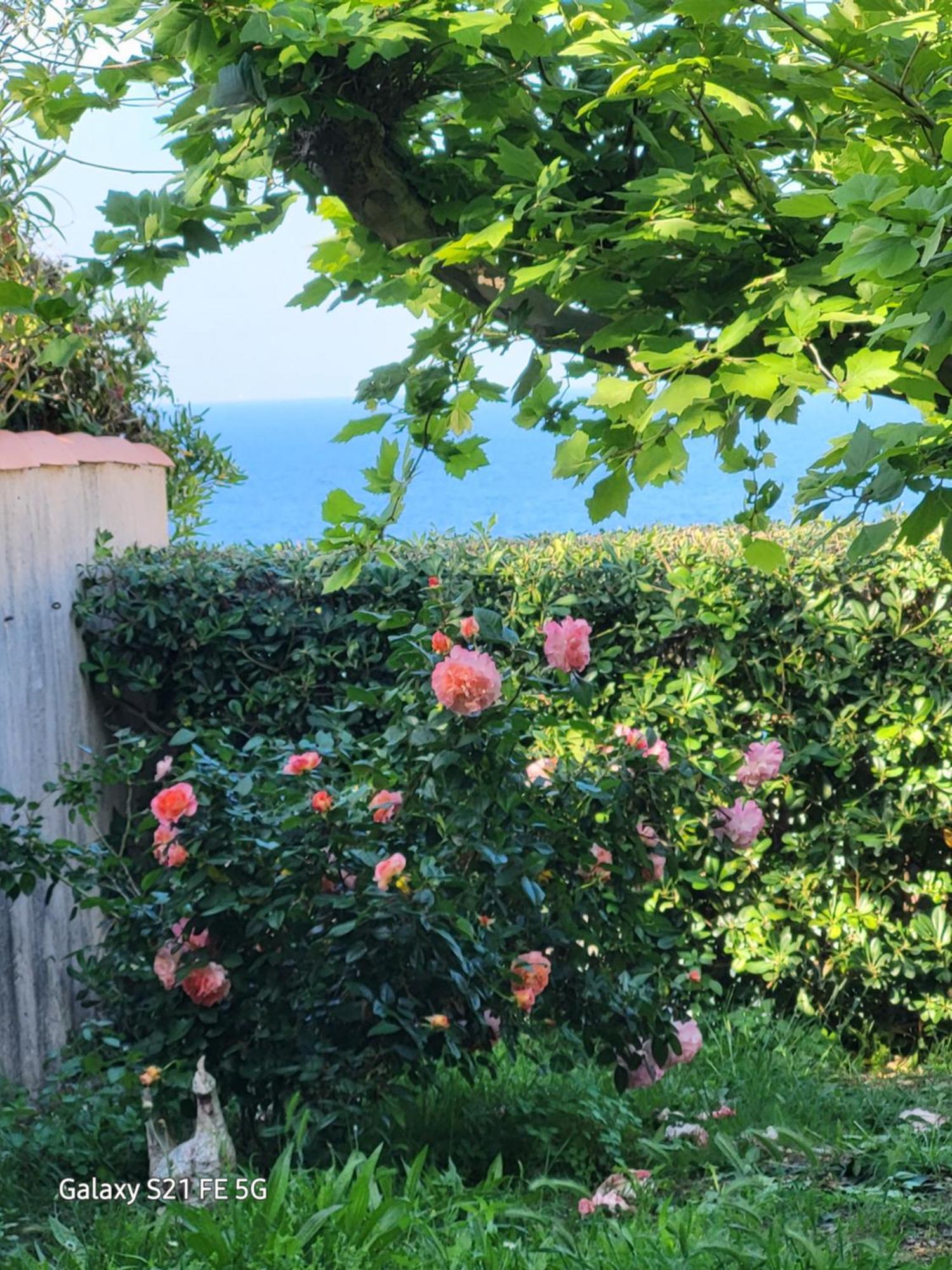 Chez Isabelle Bed and Breakfast Luri Exteriör bild